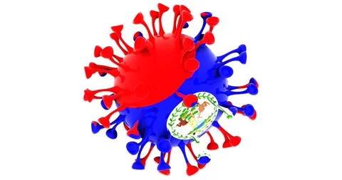 Flag of Belize on Seamless looping 3D animation of the covid-19 Corona Virus Stock Footage 166460862