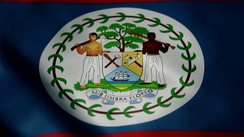 Flag of Belize, slow motion waving. Looping animation. Ideal for sport events, Video stock 93731264
