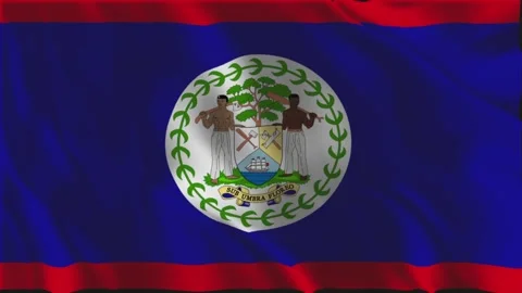 Flag of Belize waving slowly Stock Footage 339982195