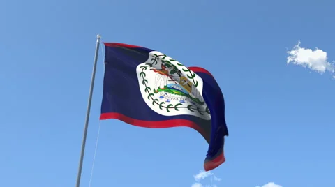 The flag of Belize Waving on the Wind. Stock Footage 40498030