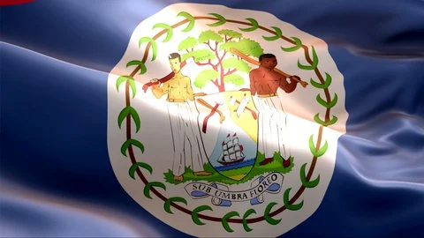 Flag of Belize waving in the wind. Stock Footage 129061157