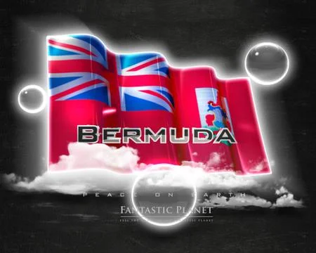 Flag Bermuda quality designer flag Stock Illustration