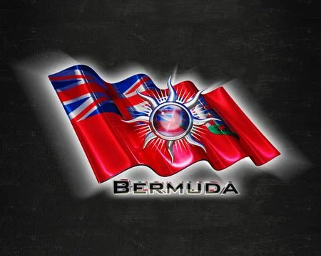 Flag Bermuda quality designer flag Stock Illustration