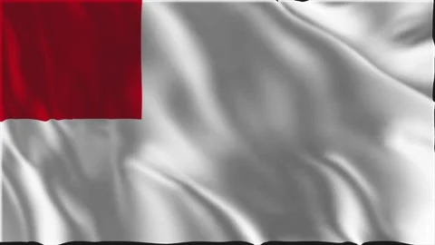 Flag of Bilbao waving slowly Stock Footage 341768280