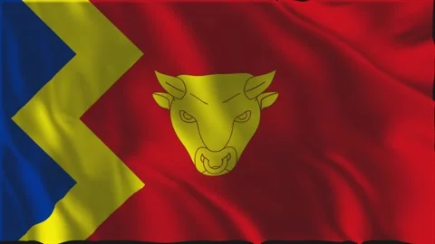 Flag of Birmingham waving slowly Stock Footage 341768439