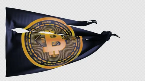 Flag with bitcoin logo. Stock Footage 219232130