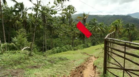 Flag blowing in the wind Stock-Footage 10827683