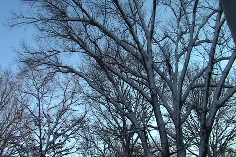 Flag Blowing in the Winter Air Stock Footage 1067914