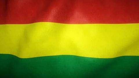 Flag of Bolivia waving in the wind Stock-Footage 125832538