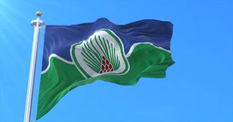 Flag of Bor, Serbia Stock Illustration