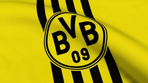 Borussia Dortmund Black Sticker - 3.15 x 3.15 inch – best-buy-flags.co.uk