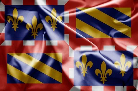 Flag of bourgogne Stock Illustration