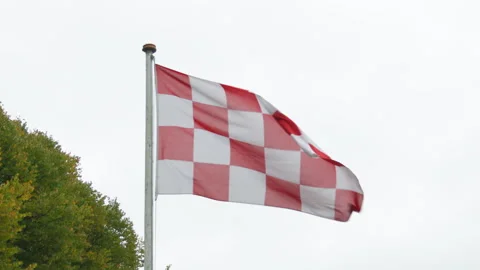 Flag of Brabant Fluttering in the Wind Video stock 241595878