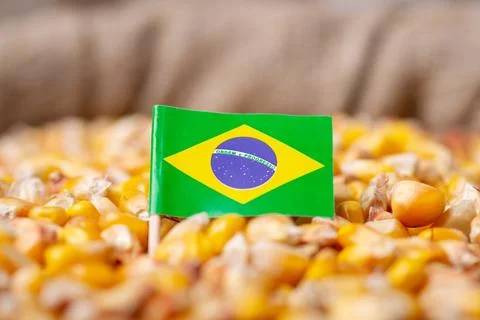 Flag of Brazil on corn grain Stock Photos