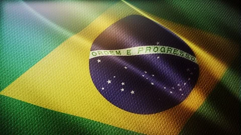 Flag of Brazil Stock Footage 116893075
