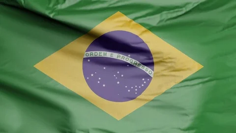 Flag of Brazil Stock Footage 116893313