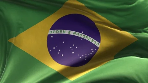 Flag of Brazil Loop Stock Footage 116893544