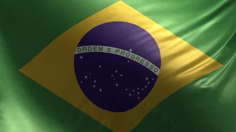 Flag of Brazil Loop Stock Footage 116893653