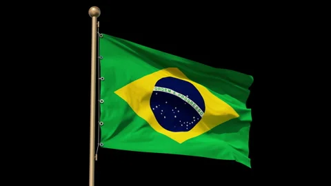 Flag of Brazil, seamless loopable. Fabric texture, realistic wind, bottom view Stock Footage 254806530