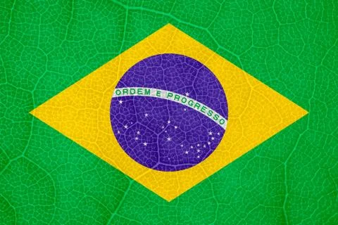 Flag of Brazil on the structure of a tree leaf macro Stock-Fotos