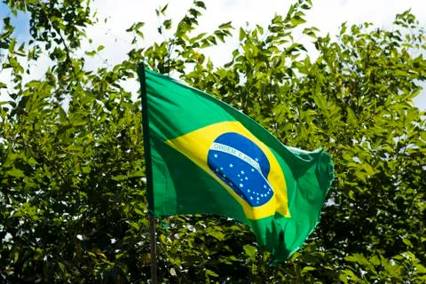Flag of Brazil in the weak wind. Stock Photos