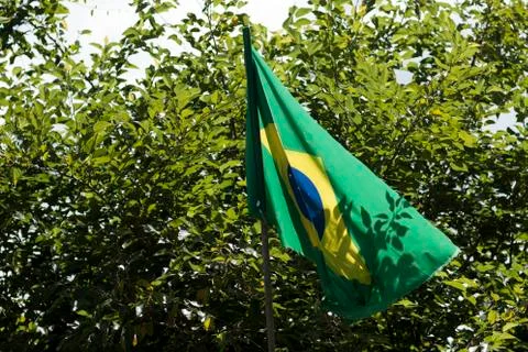Flag of Brazil in the weak wind. Stock Photos