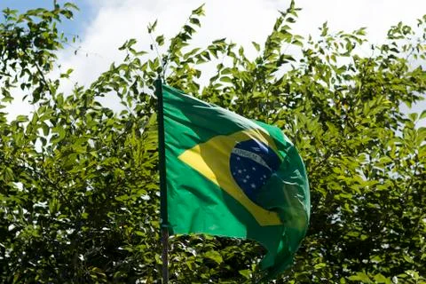 Flag of Brazil in the weak wind. Stock Photos