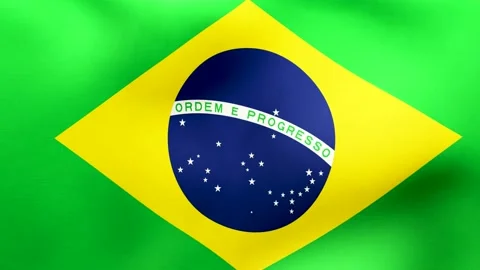 Flag of Brazil in the wind Vidéo 160500625