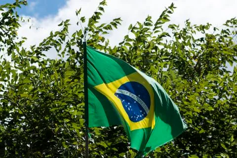 Flag of Brazil in the wind. Stock Photos