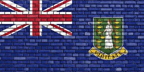 Flag of British Virgin Islands painted on brick wall 스톡 일러스트