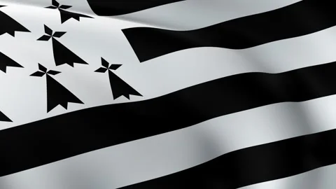 Flag of Brittany fluttering in the wind, slow motion video, looping - 4K 60fp Vidéo 310306000