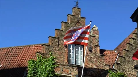 Flag of Bruges, Belgium. Video stock 145501015