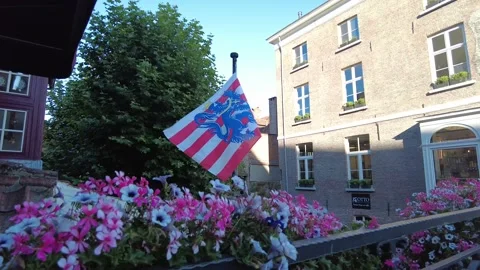 Flag of Bruges waving in the wind Stock Footage 228945194