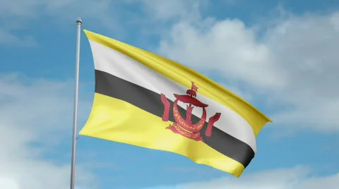 Flag of Brunei 스톡 동영상 442165