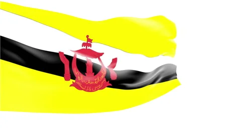 Flag of Brunei Video stock 1055261