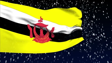 Flag of Brunei Video stock 1055273