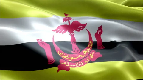 Flag Brunei Video stock 47719456