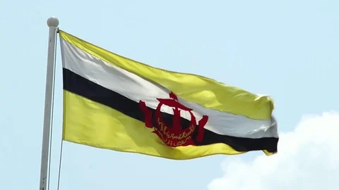 Flag of Brunei 스톡 동영상 113997315