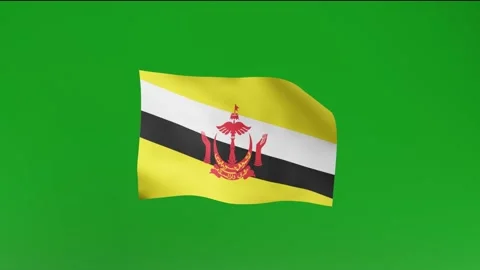 Flag of Brunei Stock Footage 162025762