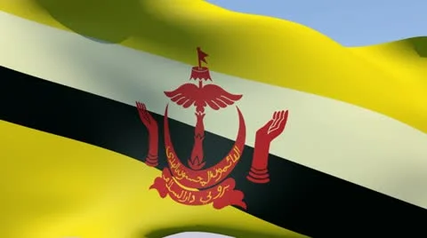Flag of Brunei HD 스톡 동영상 14072154