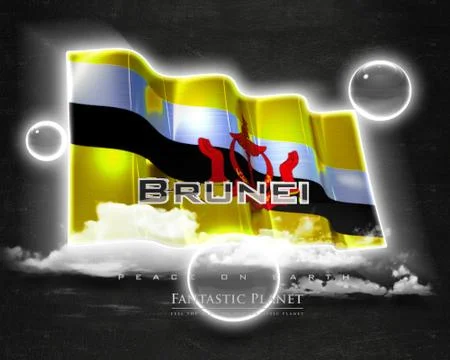 Flag Brunei quality designer flag イラスト素材