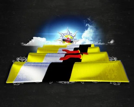 Flag Brunei quality designer flag Stock Illustration
