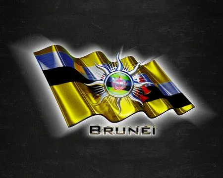 Flag Brunei quality designer flag Stock Illustration