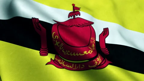 Flag of Brunei - Seamless Loop Video stock 210592198