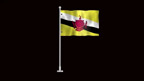 Flag of Brunei waving Stock Footage 318784379