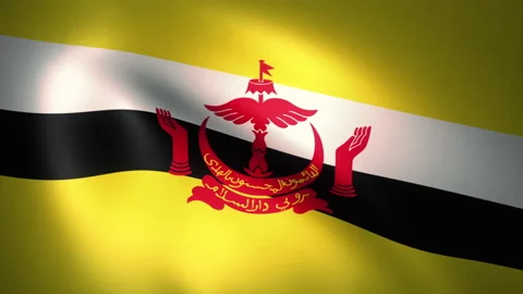 Flag of Brunei Waving in the Wind (CG | LOOP) Stock Footage 162205655