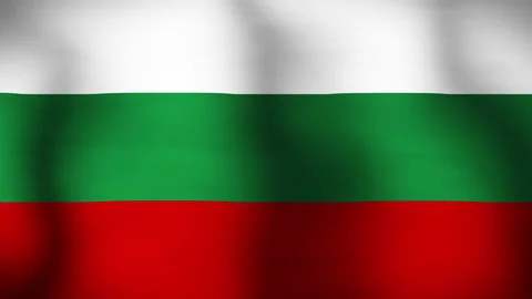 Flag of Bulgaria Close Up Animation Loops Stock Footage 165017424