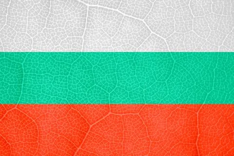 Flag of Bulgaria on the structure of a tree leaf macro Foto stock