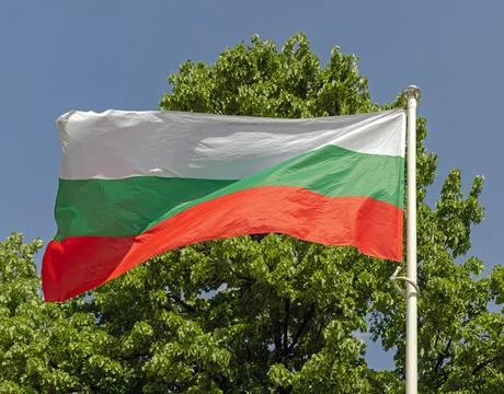 Flag of Bulgaria Tree Foto stock