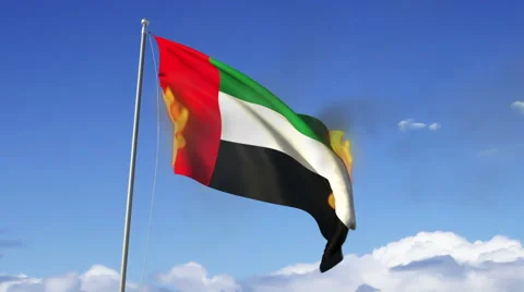 Flag Burning, 3D rendering Stock Footage